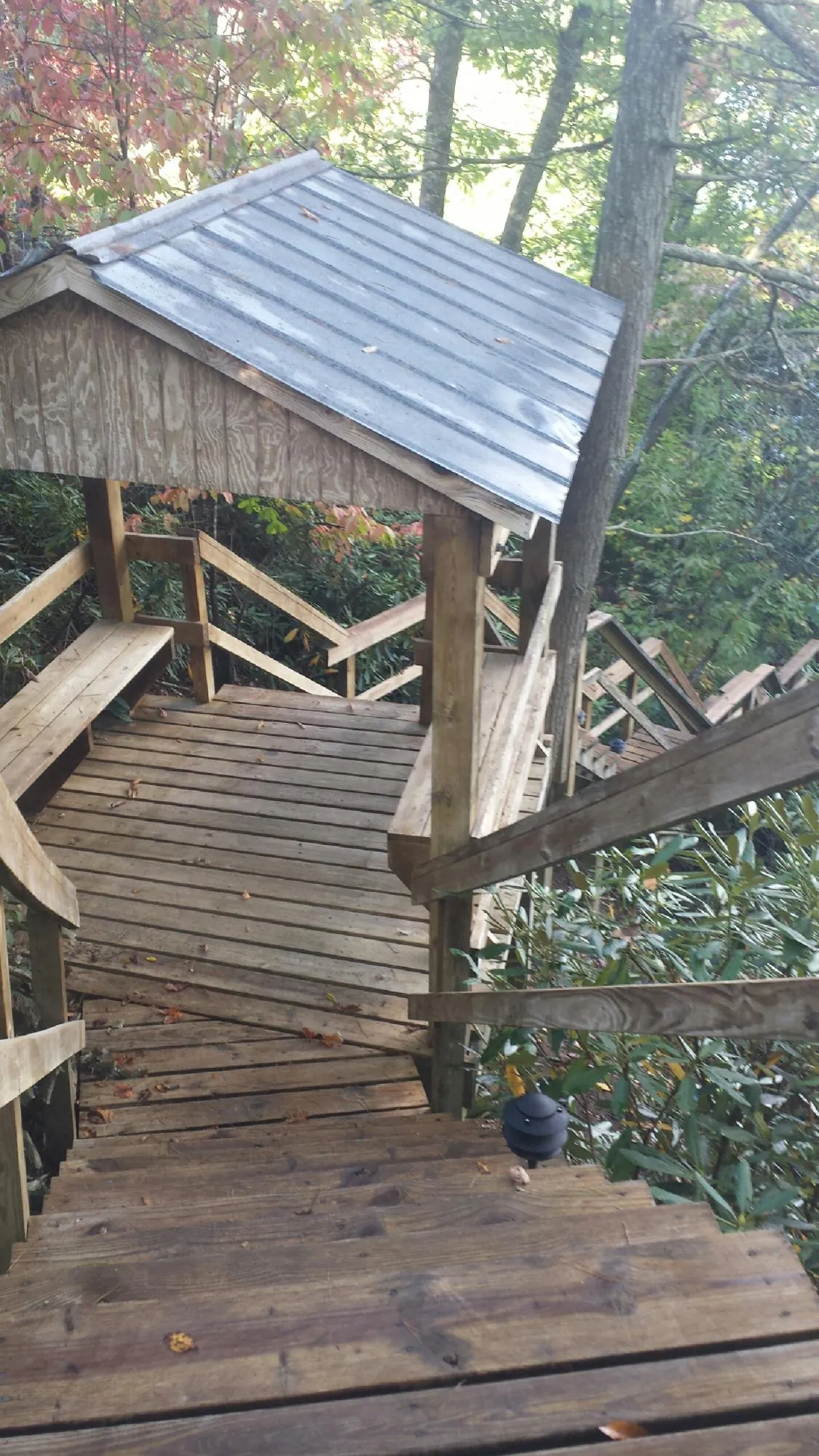 Metal roofed shelter over wooden steps on a wooded walkway — Skylight Repair & Installation work by our crew in Port Haywood